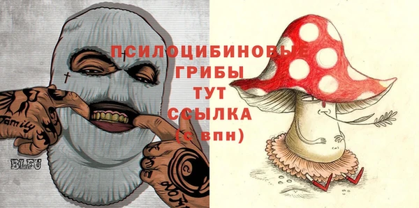 ECSTASY Каменск-Шахтинский