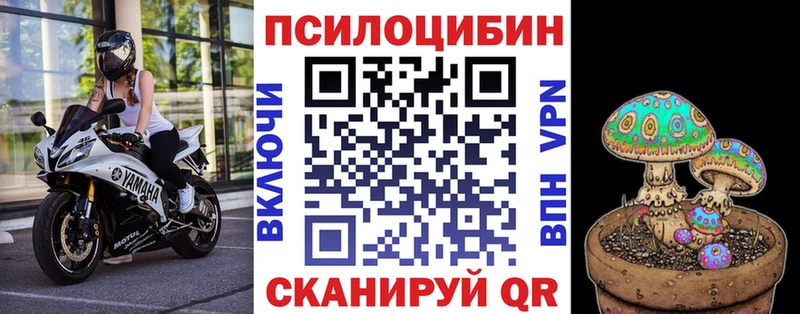 Галлюциногенные грибы Cubensis  Купить где  Бузулук 